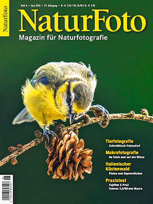 NaturFoto 6/2016